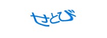 Authentication image